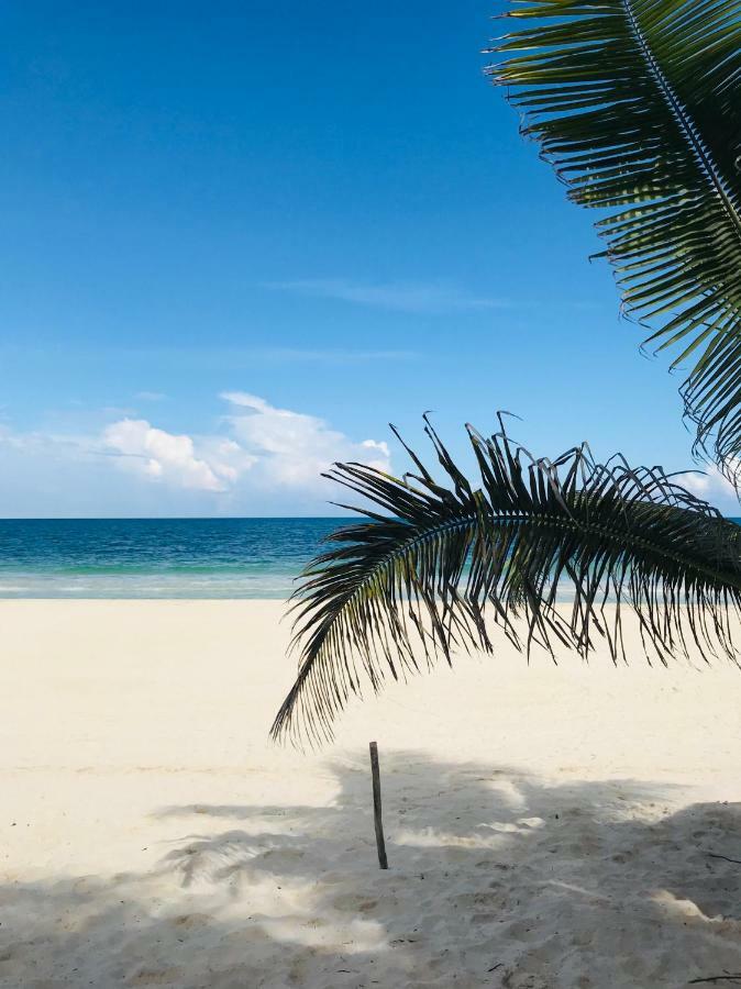 Luxury 5Th Avenue Menesse 32 Apartman Playa del Carmen Kültér fotó